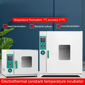 220V 250W Laboratorij za Elektro-toplotna Konstanta-temp Mikrobne Fermentirano Inkubator iz Nerjavečega Jekla Linijskih Kalivost Semena Polje