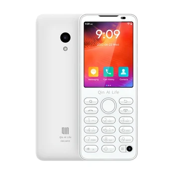 Qin F21 Pro Smart Touch Zaslon, Telefon, Wifi 5G+2.8 Palčni BT 5.0 Infrardeči Daljinski upravljalnik, GPS, Prevajalec, Telefon